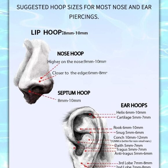 Shiny 20G Hinged Segment Nose Hoop - Stunning CZ Design in Silver Steel - Picture 9 of 9